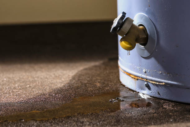 Best Local water damage restoration  in Wakarusa, IN