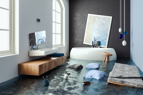 Best Residential water damage restoration  in Wakarusa, IN