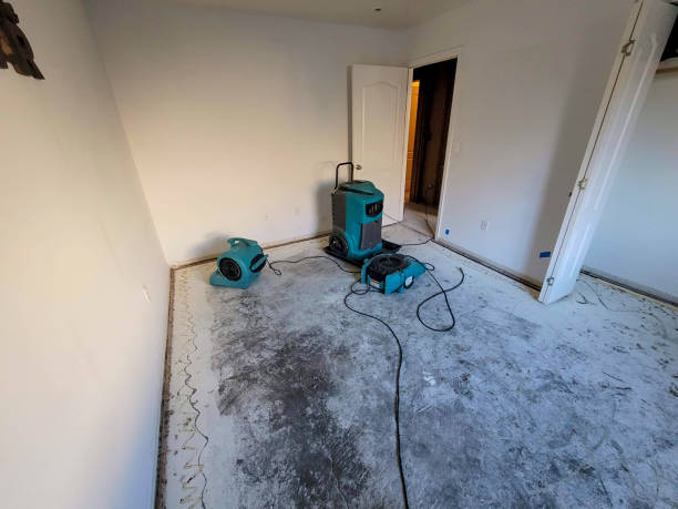 Best Water damage restoration near me  in Wakarusa, IN
