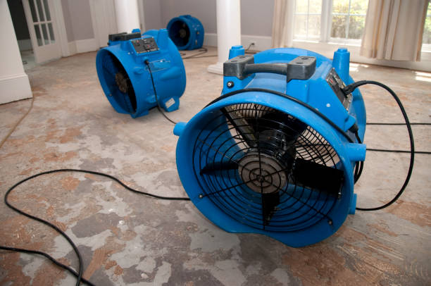 Best Professional water damage repair  in Wakarusa, IN