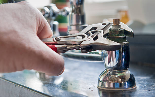 Best Flood restoration services  in Wakarusa, IN
