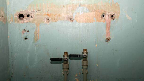 Best Fire Damage Restoration  in Wakarusa, IN