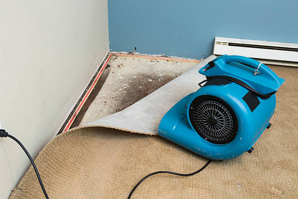 Wakarusa, IN Water damage restoration Company